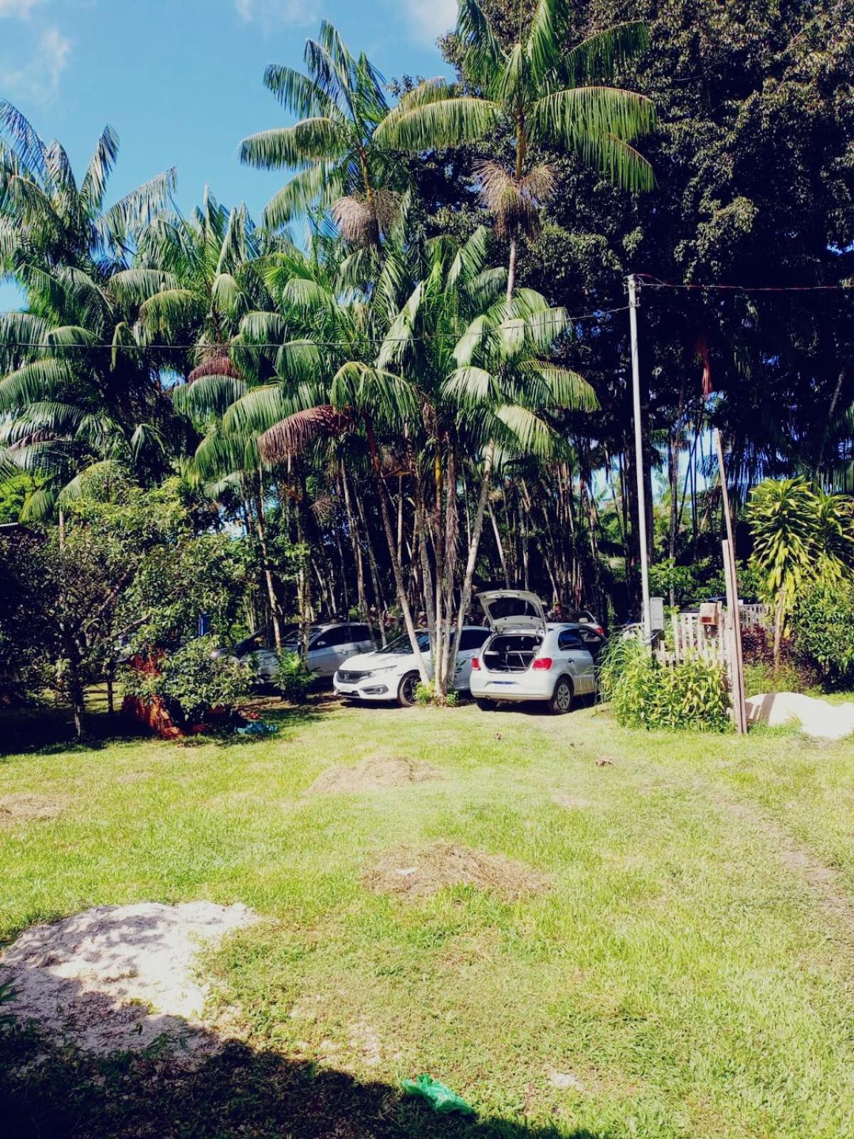 Eco Sitio O Labirinto Do Fauno Hotel Mosqueiro  Bagian luar foto