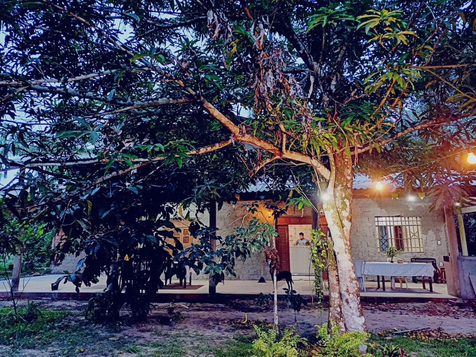 Eco Sitio O Labirinto Do Fauno Hotel Mosqueiro  Bagian luar foto